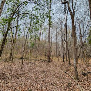Photo #40 of SOLD property in Off Coopers Mountain Rd, Martinsville, VA 36.4 acres