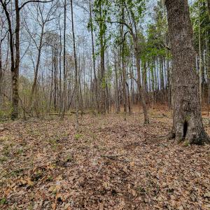 Photo #41 of SOLD property in Off Coopers Mountain Rd, Martinsville, VA 36.4 acres