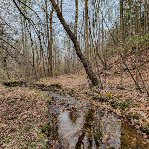 Photo #42 of SOLD property in Off Coopers Mountain Rd, Martinsville, VA 36.4 acres