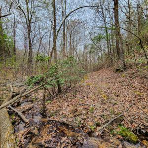 Photo #43 of SOLD property in Off Coopers Mountain Rd, Martinsville, VA 36.4 acres