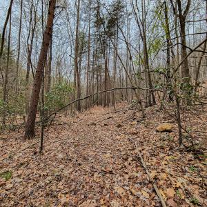 Photo #45 of SOLD property in Off Coopers Mountain Rd, Martinsville, VA 36.4 acres