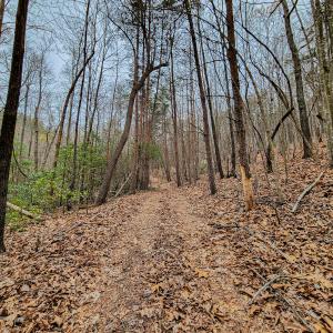 Photo #46 of SOLD property in Off Coopers Mountain Rd, Martinsville, VA 36.4 acres