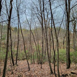 Photo #47 of Off Coopers Mountain Rd, Martinsville, VA 36.4 acres