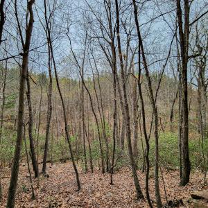 Photo #47 of SOLD property in Off Coopers Mountain Rd, Martinsville, VA 36.4 acres