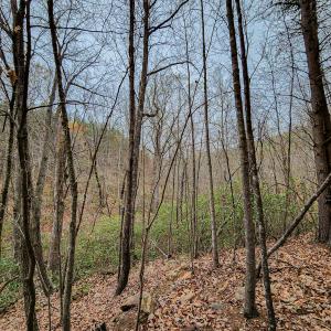 Photo #48 of SOLD property in Off Coopers Mountain Rd, Martinsville, VA 36.4 acres