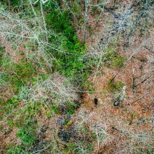 Photo #50 of SOLD property in Off Coopers Mountain Rd, Martinsville, VA 36.4 acres