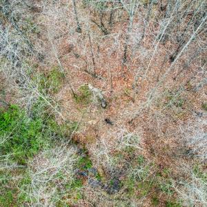 Photo #51 of SOLD property in Off Coopers Mountain Rd, Martinsville, VA 36.4 acres