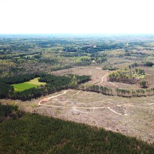 Photo #3 of SOLD property in Off Overbey Rd, Nelson, VA 88.5 acres
