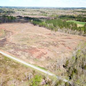 Photo #6 of SOLD property in Off Overbey Rd, Nelson, VA 88.5 acres
