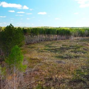 Photo #8 of SOLD property in Off Overbey Rd, Nelson, VA 88.5 acres