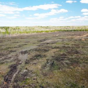 Photo #9 of SOLD property in Off Overbey Rd, Nelson, VA 88.5 acres