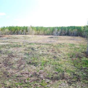 Photo #10 of SOLD property in Off Overbey Rd, Nelson, VA 88.5 acres