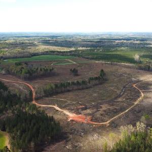 Photo #12 of SOLD property in Off Overbey Rd, Nelson, VA 88.5 acres