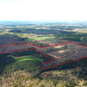 Photo #13 of SOLD property in Off Overbey Rd, Nelson, VA 88.5 acres