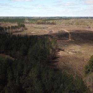 Photo #14 of SOLD property in Off Overbey Rd, Nelson, VA 88.5 acres
