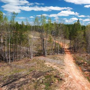 Photo #16 of SOLD property in Off Overbey Rd, Nelson, VA 88.5 acres