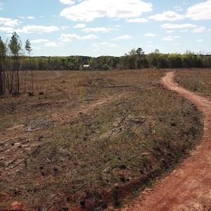 Photo #17 of SOLD property in Off Overbey Rd, Nelson, VA 88.5 acres