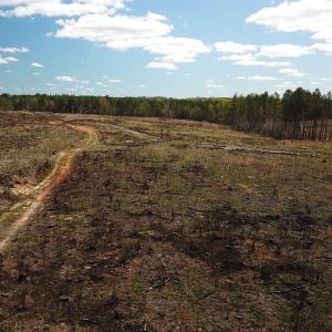 Photo #19 of SOLD property in Off Overbey Rd, Nelson, VA 88.5 acres