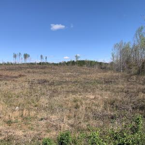 Photo #20 of Off Overbey Rd, Nelson, VA 88.5 acres