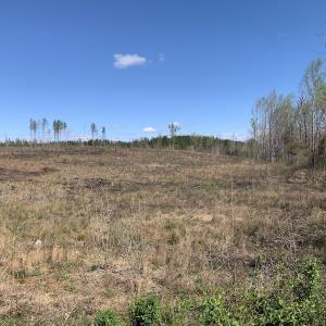 Photo #20 of SOLD property in Off Overbey Rd, Nelson, VA 88.5 acres