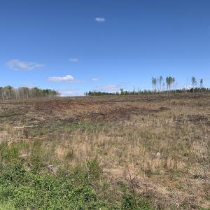 Photo #21 of SOLD property in Off Overbey Rd, Nelson, VA 88.5 acres