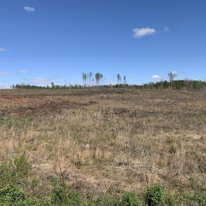 Photo #22 of SOLD property in Off Overbey Rd, Nelson, VA 88.5 acres