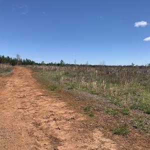 Photo #23 of SOLD property in Off Overbey Rd, Nelson, VA 88.5 acres