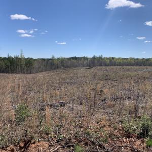 Photo #24 of SOLD property in Off Overbey Rd, Nelson, VA 88.5 acres