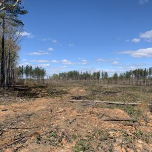 Photo #25 of SOLD property in Off Overbey Rd, Nelson, VA 88.5 acres