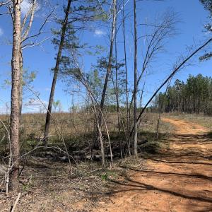Photo #26 of SOLD property in Off Overbey Rd, Nelson, VA 88.5 acres