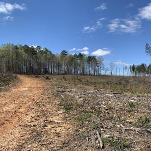 Photo #27 of SOLD property in Off Overbey Rd, Nelson, VA 88.5 acres