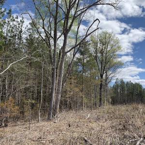 Photo #29 of SOLD property in Off Overbey Rd, Nelson, VA 88.5 acres