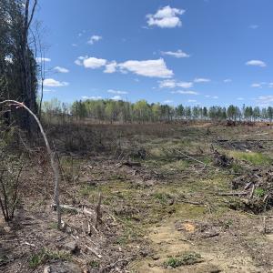 Photo #33 of SOLD property in Off Overbey Rd, Nelson, VA 88.5 acres