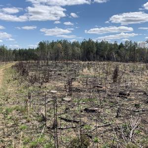 Photo #34 of SOLD property in Off Overbey Rd, Nelson, VA 88.5 acres