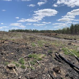 Photo #38 of SOLD property in Off Overbey Rd, Nelson, VA 88.5 acres