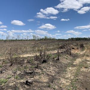 Photo #40 of SOLD property in Off Overbey Rd, Nelson, VA 88.5 acres