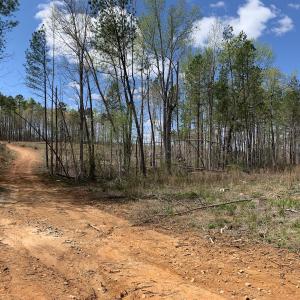 Photo #41 of SOLD property in Off Overbey Rd, Nelson, VA 88.5 acres