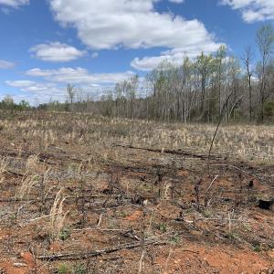 Photo #44 of SOLD property in Off Overbey Rd, Nelson, VA 88.5 acres
