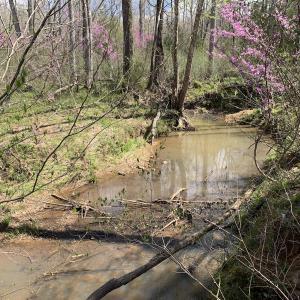 Photo #45 of SOLD property in Off Overbey Rd, Nelson, VA 88.5 acres