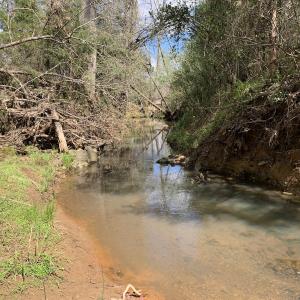 Photo #46 of SOLD property in Off Overbey Rd, Nelson, VA 88.5 acres