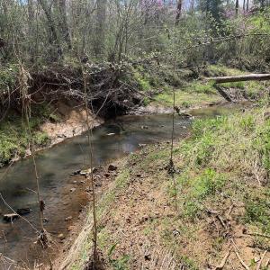 Photo #47 of SOLD property in Off Overbey Rd, Nelson, VA 88.5 acres