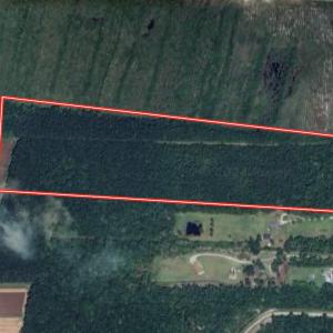 Photo #1 of SOLD property in Off Hwy 306, Grantsboro, NC 31.8 acres
