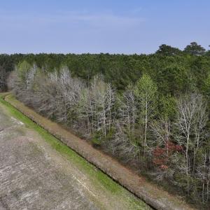 Photo #14 of SOLD property in Off Hwy 306, Grantsboro, NC 31.8 acres