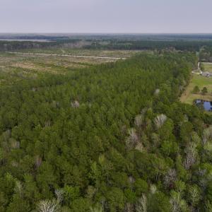 Photo #17 of SOLD property in Off Hwy 306, Grantsboro, NC 31.8 acres