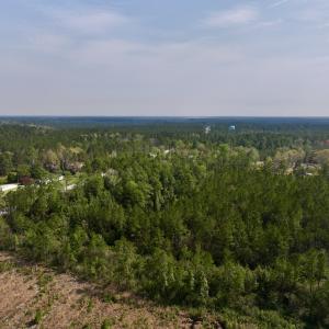 Photo #4 of SOLD property in Off Hwy 306, Grantsboro, NC 31.8 acres