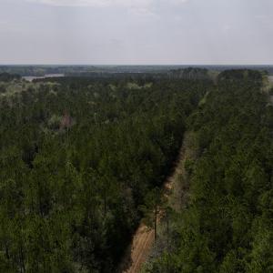 Photo #5 of SOLD property in Off Hwy 306, Grantsboro, NC 31.8 acres