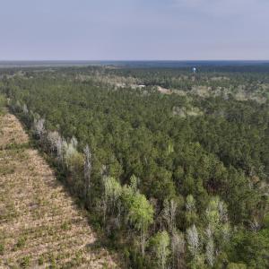 Photo #8 of SOLD property in Off Hwy 306, Grantsboro, NC 31.8 acres