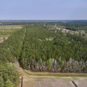 Photo #9 of SOLD property in Off Hwy 306, Grantsboro, NC 31.8 acres