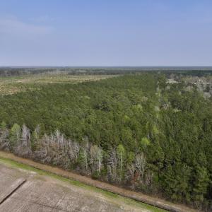 Photo #10 of SOLD property in Off Hwy 306, Grantsboro, NC 31.8 acres