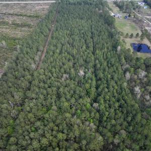 Photo #22 of SOLD property in Off Hwy 306, Grantsboro, NC 31.8 acres